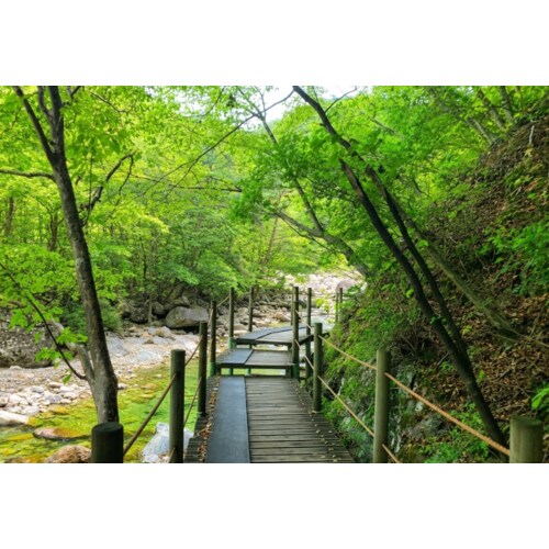https://media.eoding.com/media/travelagent/40/imagecontent/지리산뱀사골계곡_여름보정_vXJaPL5_8Gm344T.png