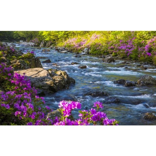 https://media.eoding.com/media/travelagent/40/imagecontent/뱀사골2_qqFfHz2.jpg