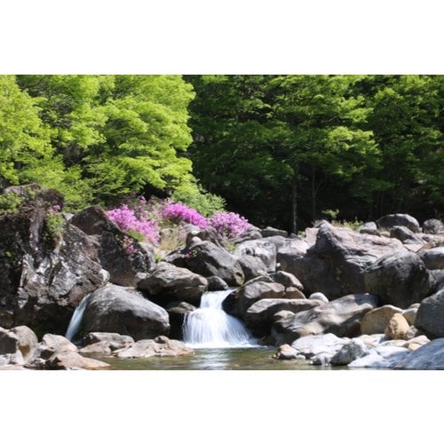 https://media.eoding.com/media/travelagent/40/imagecontent/용량낮춤EF6A9425_PzKDJqJ.jpg