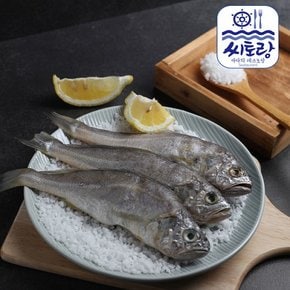 영광법성포 참굴비 10미 950g