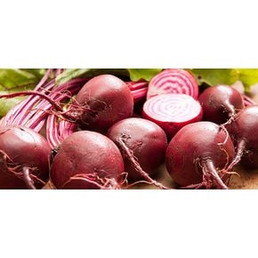 제주직송 레드비트 3kg (특품)
