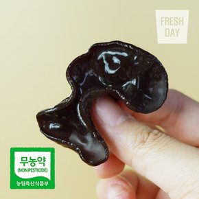 국내산 무농약 프리미엄 생 목이버섯 정품 2kg
