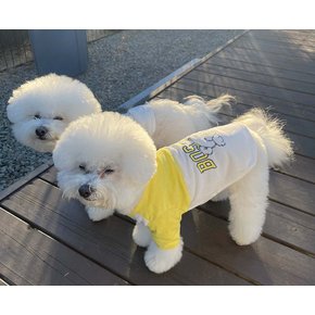 [쥬비코 강아지옷] ZOOBICO 쥬비코 강아지 보스턴 티셔츠