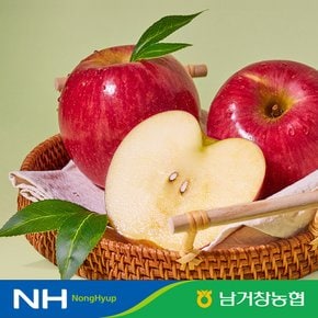 [유명산지] 아삭달콤한 거창 꿀사과 못난이사과 2.5kg(중과)9과-12과 내외