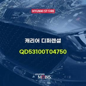 캐리어 디퍼렌셜 (QD53100T04750)