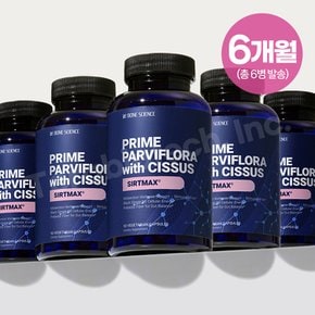본사이언스 프라임 파비플로라 흑생강 추출물 시르투맥스 SIRTMAX 고함량 90캡슐 6병