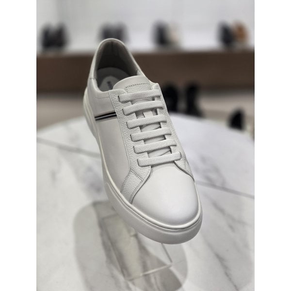 [시흥점] 남성 세미 캐주얼 밴딩 스니커즈 (FMM438)