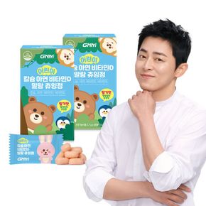 어린이 칼슘 아연 비타민D 말랑 츄잉정 2박스[36000805]