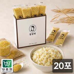 잡곡맛집 전라도 함평댁 찰기장 간편스틱 소포장 (20g x 20포) 바르겟
