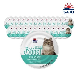 ViPET 옵티원부스트 고양이캔 닭안심과 맛살 160G 24캔