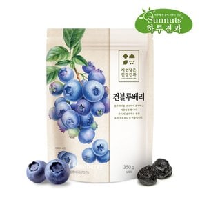 건블루베리350gX1봉/블루베리,말랑쫀득,건과일,과일말랭이,간식