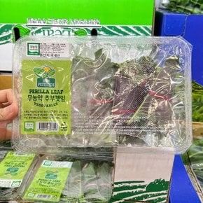 트레이더스 무농약 추부깻잎 1팩