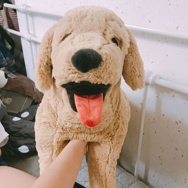 GOSIG GOLDEN 고시그 골덴 강아지인형 대형/봉제인형/애착인형/골든리트리버/장난감