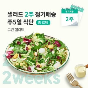 포켓샐러드 샐러드 2주 정기배송 주5일 (그린 샐러드 5팩)