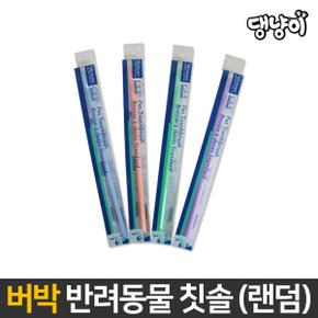 C.E.T. 덴탈 미니 칫솔 x 3P / 색상 랜덤 발송