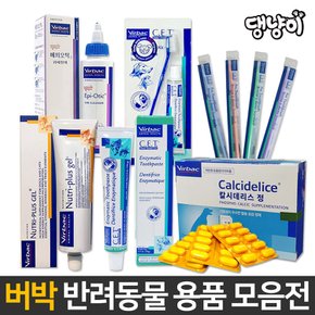 C.E.T. 덴탈 미니 칫솔 x 3P / 색상 랜덤 발송