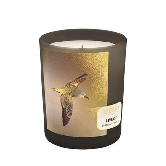 메모 센티드 캔들 레반테 180g (레더) C815991000200