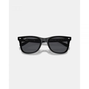 3886874 Ray-Ban 0RB4420 - Black