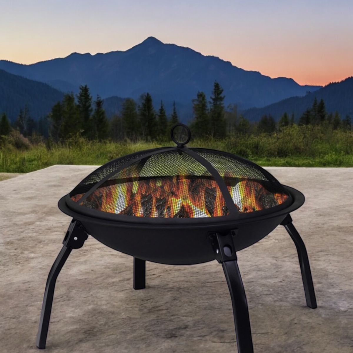 확대된 대표 이미지1