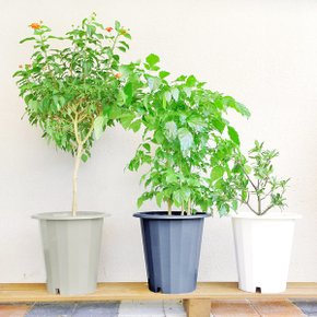 글로리 화분 10L 대형화분