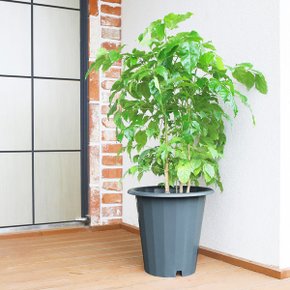 글로리 화분 10L 대형화분