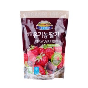 [폴란드산] 냉동 유기농 딸기 500g