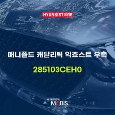 현대모비스매니폴드 캐탈리틱 익죠스트 우측 (285103CEH0)