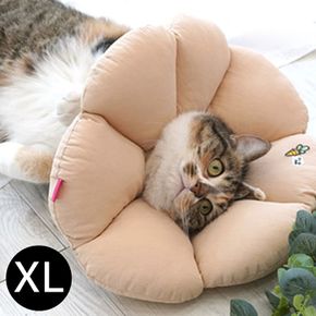 패리스독 꿀잠 애완용 넥카라 베이지 XL