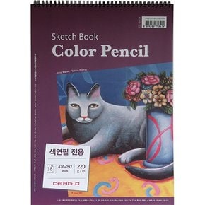 색연필전용 스케치북 스프링 상철 220G A3 신한커머스