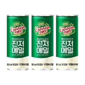 캐나다드라이 진저에일 250ml/ 40캔