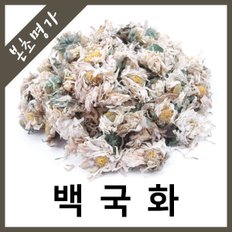 본초명가/백국화(수입산)/흰국화/감국/100g