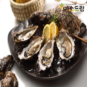 통영 제철 석화 당일작업 싱싱한 각굴 4kg