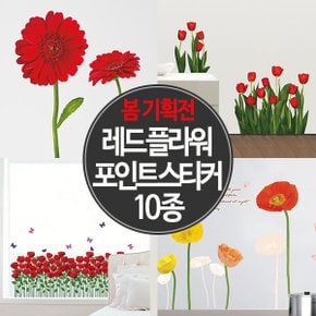 [레드플라워 기획전] 거베라 장미 양귀비 튤립 10종