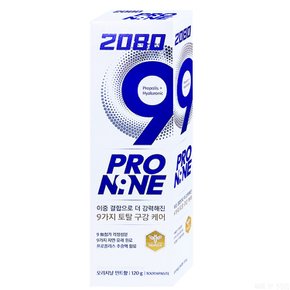 2080 프로나인 오리지날 120g 1개