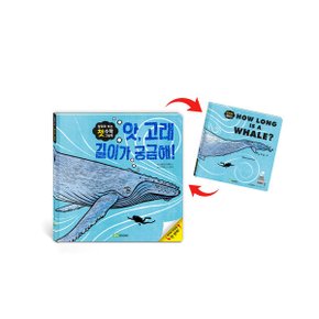 앗 고래 길이가 궁금해 l 앞뒤로 보는 첫 수학 그림책