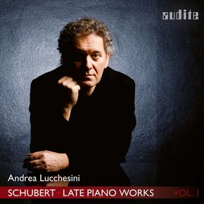 FRANZ SCHUBERT - LATE PIANO WORKS VOL.1/ ANDREA LUCCHESINI 슈베르트: 후기 피아노 작품 1집