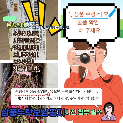 추가이미지