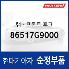 전면 견인고리 구멍 캡 커버 (86517G9000)  제네시스 G70 현대모비스 부품몰