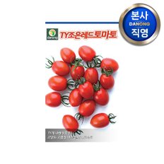 TY조은레드 방울 토마토 씨앗 1000립.내병계 빨간 채소 미니 종자 텃밭 키우기