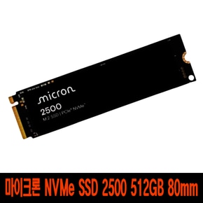 NVMe SSD  2500  512GB (M.2) 80mm 벌크 T