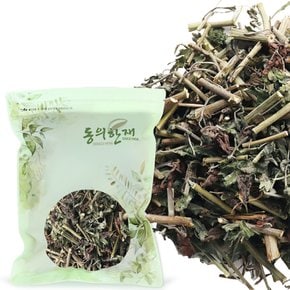 국산 구절초 300g