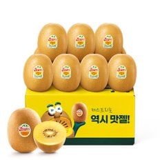 [1/20(월) 순차출고][1.2kg] 제주 썬 골드키위 (개당 120g내외) 10개입 맛젤