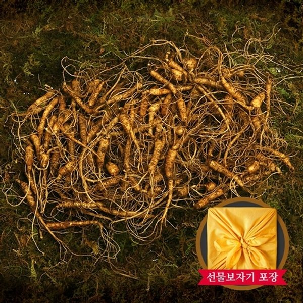 강원도 토종 산양삼 실속형 200g (5~6년근 60-90뿌리)