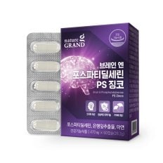 브레인 포스파티딜세린 PS 징코 1박스 1개월분 두뇌 은행잎추출물 인지력 기억력개선