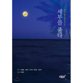 (중고/중)세부를 품다 : 보이지 않는 것을 보는 눈