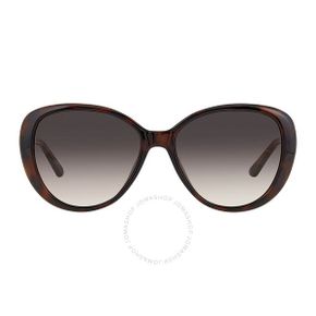 5233314 Jimmy Choo Brown Gradient Butterfly Ladies Sunglasses