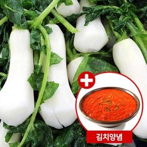 [전라도광주김치] 절임알타리무3kg + 양념1kg