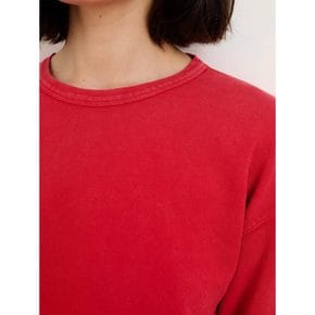 Frankie Sweatshirt In Vintagewash Red (VV3840AW26)