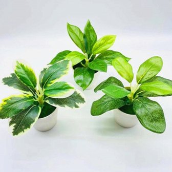 5. 미니 조화화분 ..