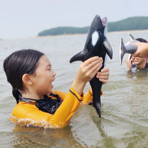 상품이미지5